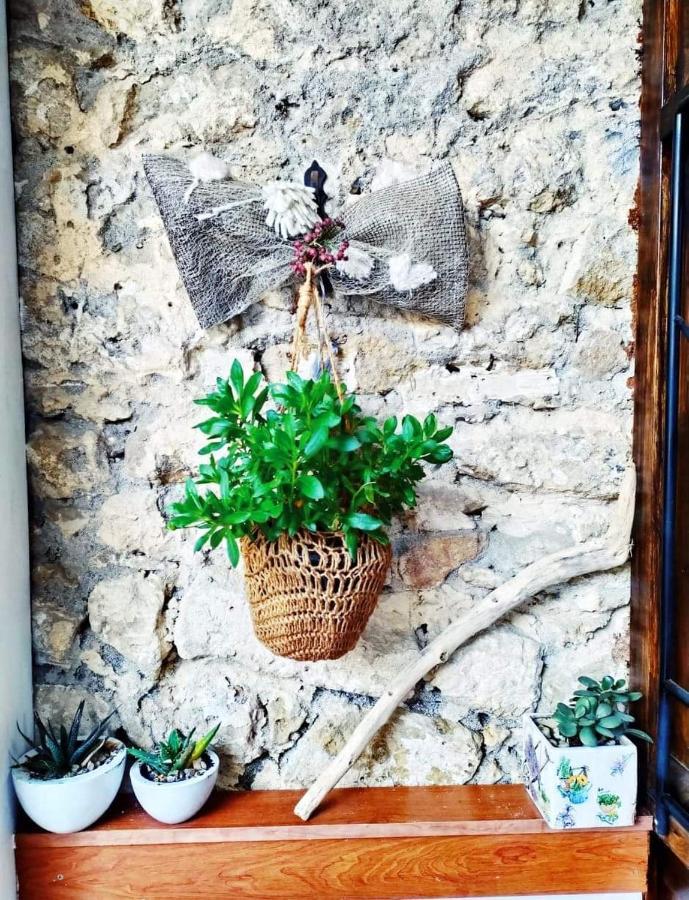 Grande Papyrus Appartement *
